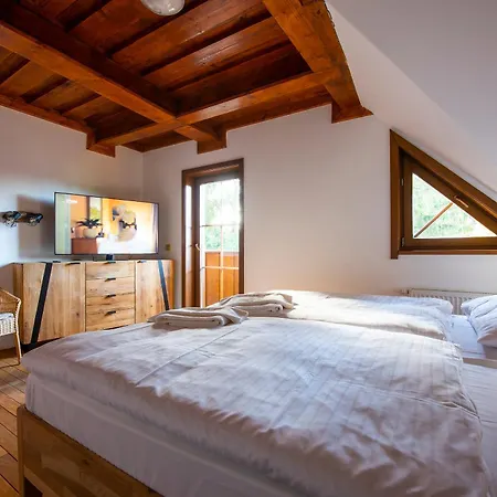 Platanus By Pieris Pribylina