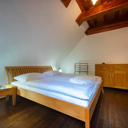 Platanus By Pieris Pribylina