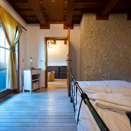 Platanus By Pieris Pribylina