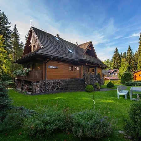 Platanus By Pieris 3*